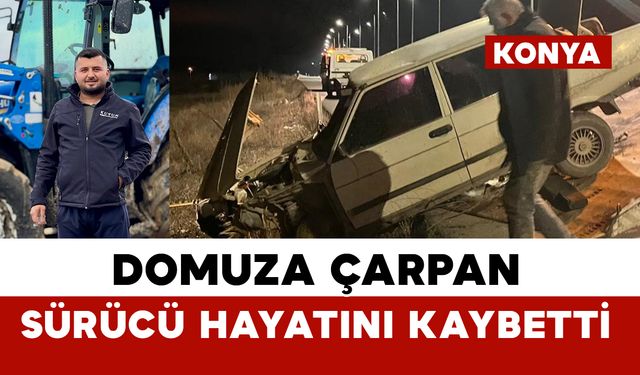 Domuza çarpan otomobil sürücüsü hayatını kaybetti