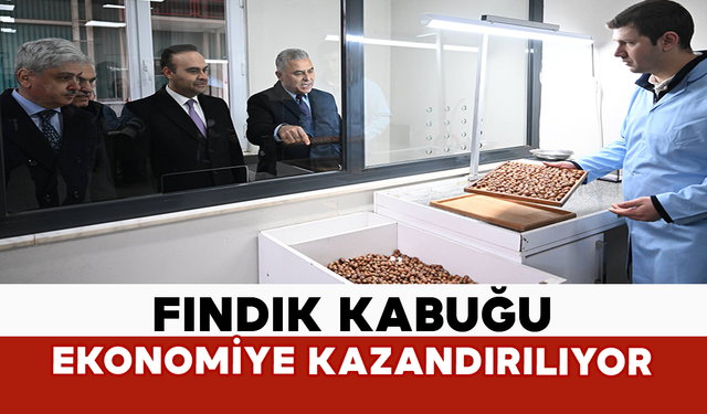 Fındık Kabuğu Ekonomiye Kazandırılıyor