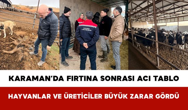 Karaman’da Fırtına Sonrası Acı Tablo: Hayvanlar ve Üreticiler Büyük Zarar Gördü