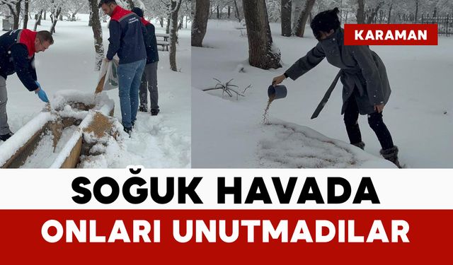 Karaman’da yaban hayvanları ve kuşlar unutulmadı