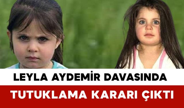 Leyla Aydemir Davasında Tutuklama Kararı Çıktı