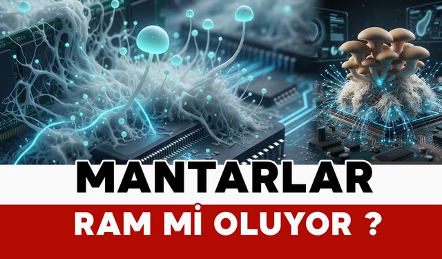 Mantarlar bilgisayarlara RAM mi oluyor?