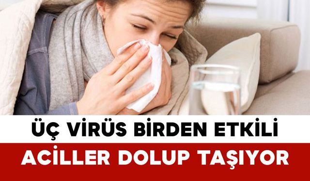 Üç Virüs Birden Etkili: Aciller Dolup Taşıyor
