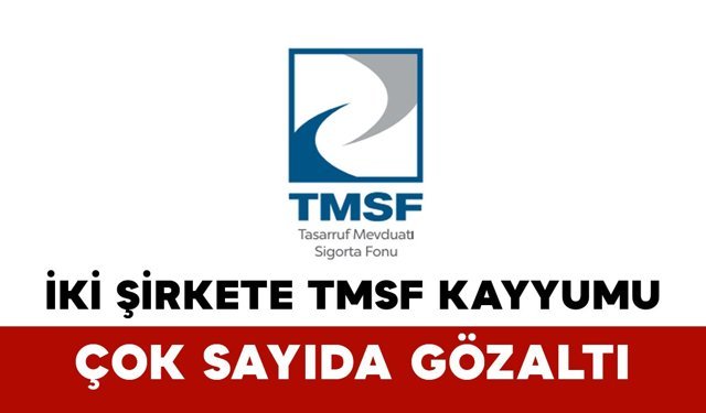 İki Şirkete TMSF Kayyumu: Çok Sayıda Gözaltı