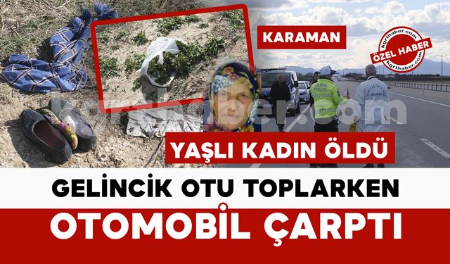 Gelincik otu toplarken yola çıkan yaşlı kadına otomobil çarptı: 1 ölü