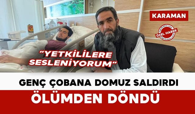 Karaman’da domuz saldırısına uğrayan genç çoban ölümden döndü