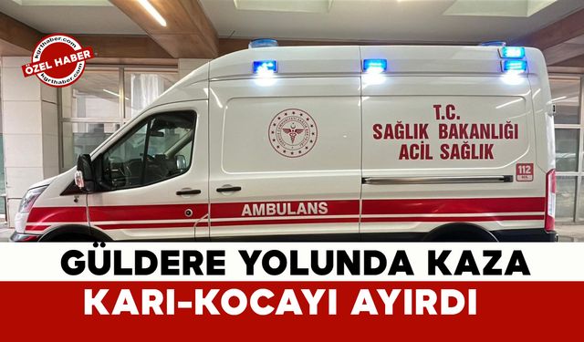 Köy Yolundaki Kaza Karı-Kocayı Ayırdı