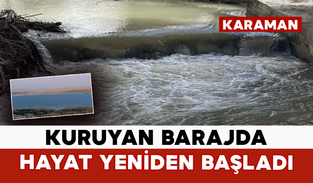 Kuruyan Barajda Hayat Yeniden Başladı