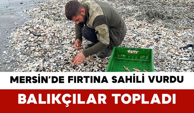 Mersin’de Fırtına Sahili Vurdu Balıkçılar Topladı