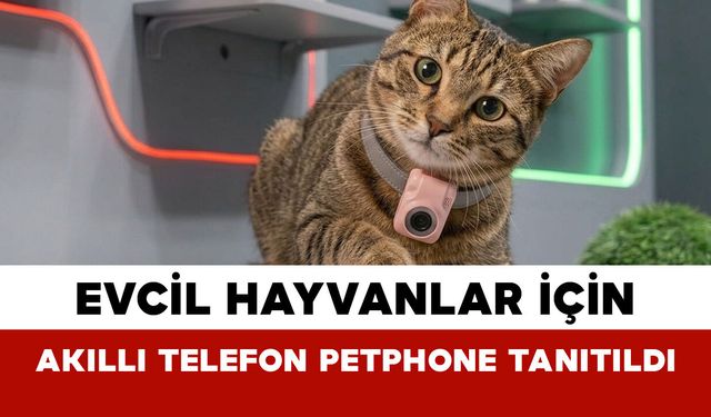 Evcil Hayvanlar İçin Akıllı Telefon PetPhone Tanıtıldı