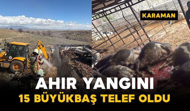 Karaman'da ahır yangını: 15 büyükbaş hayvan telef oldu