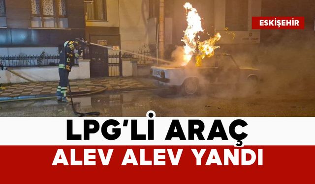 Park halindeki LPG'li araç küle döndü