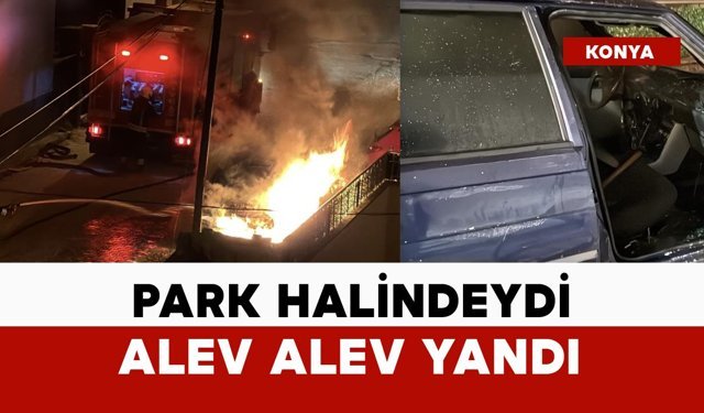 Park halindeydi alev alev yandı