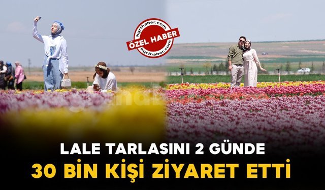 Karaman'da lale tarlasına ziyaretçi akını: 2 günde 30 bin kişi gezdi