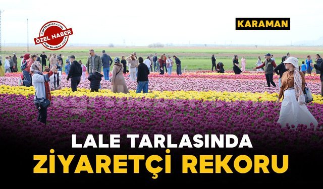 Türkiye'nin en büyük lale tarlasında ziyaretçi rekoru