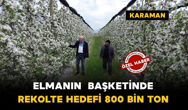 Elmanın başkentinde rekolte hedefi 800 bin ton