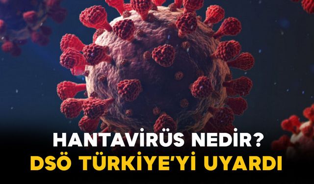 Hantavirüs Nedir? DSÖ’den Türkiye Dahil 12 Ülkeye Uyarı