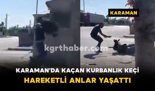 Karaman'da kaçan kurbanlık keçi hareketli anlar yaşattı