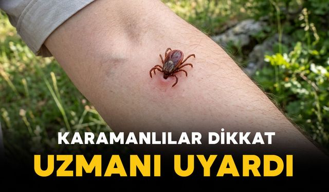 Karaman’da kene vakalarına karşı uzman uyarısı: "Vücudunuzu kontrol edin"