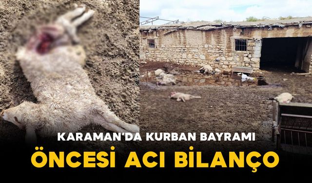 Karaman'da Kurban Bayramı Öncesi Acı Bilanço