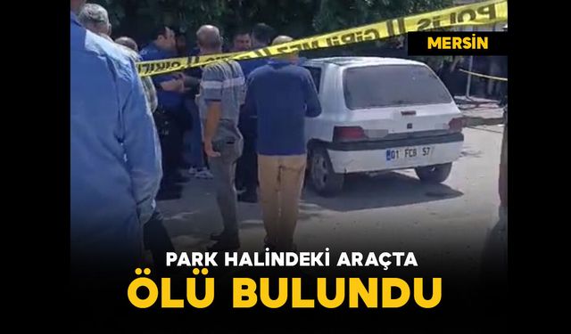 Park halindeki araçta ölü bulundu
