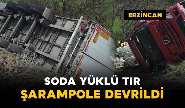 Soda yüklü tır şarampole devrildi