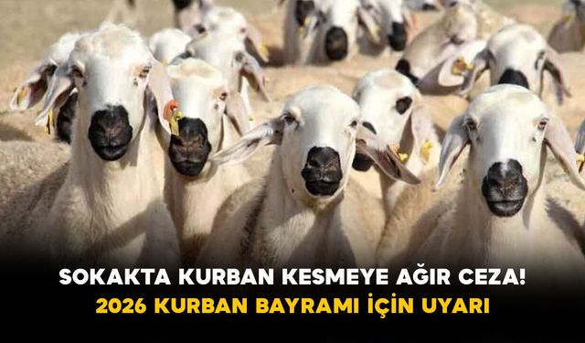 Sokakta Kurban Kesmeye Ağır Ceza! 2026 Kurban Bayramı İçin Uyarı