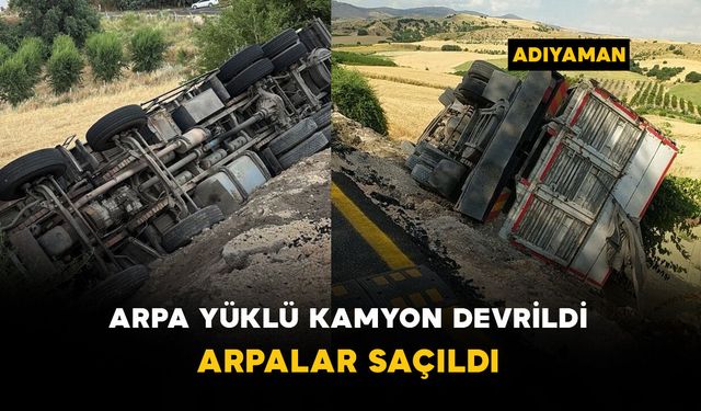 Arpa yüklü kamyon şarampole devrildi: arpalar saçıldı
