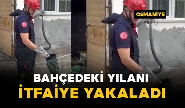 Bahçedeki yılanı itfaiye yakaladı