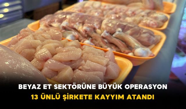Beyaz et sektörüne büyük operasyon: 13 ünlü şirkete kayyım atandı