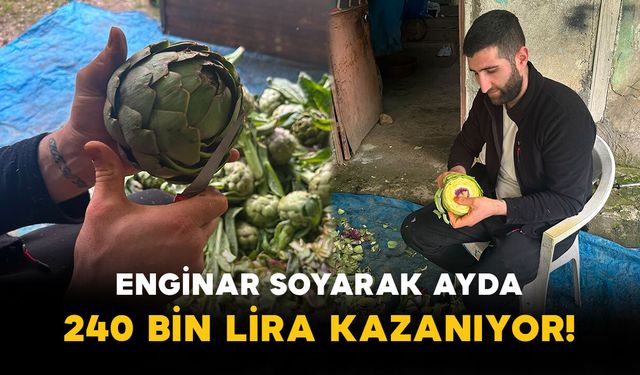 Enginar Soyarak Ayda 240 Bin Lira Kazanıyor!