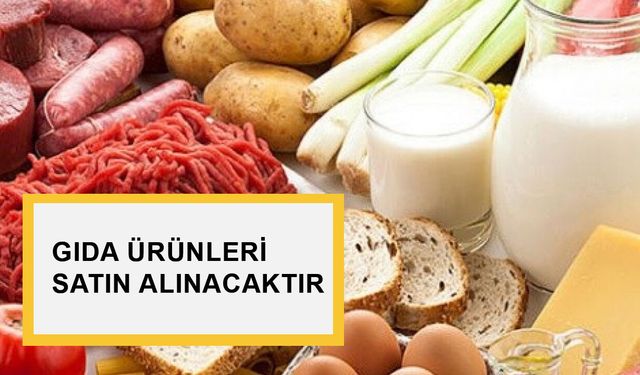 GIDA ÜRÜNLERİ SATIN ALINACAKTIR