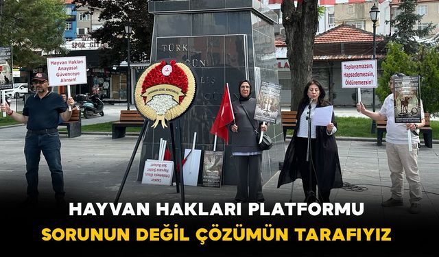 Karaman Hayvan Hakları Platformu:“Sorunun Değil, Çözümün Tarafıyız”