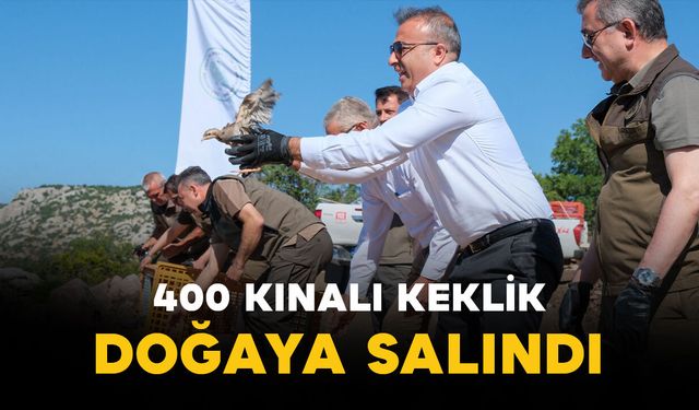 Karaman'da doğaya keklik salımı: Vali Çiçek'in katılımıyla 400 kınalı keklik vadiyle buluştu