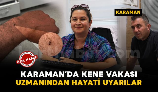 Karaman’da kene vakası: Uzmanlardan “Kendiniz müdahale etmeyin" uyarısı