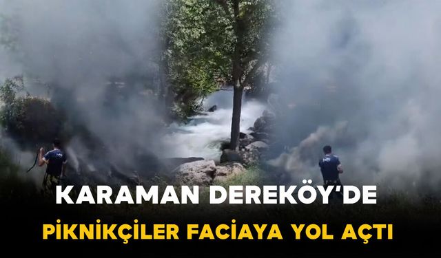 Karaman'da Piknik Alanında Yangın Paniği