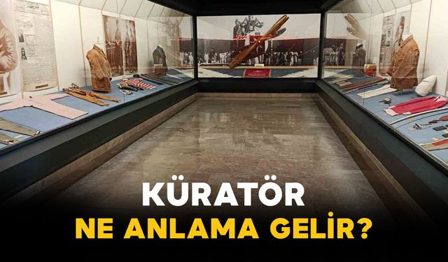 Küratör ne anlama gelir?