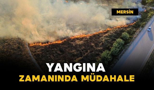 Yangın evlere ve ormana ulaşmadan söndürüldü