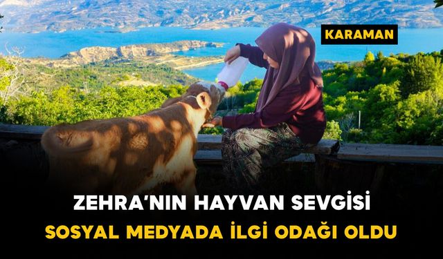 Zehra'nın hayvan sevgisi sosyal medyada ilgi odağı oldu