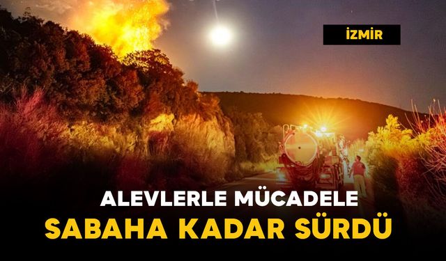 Alevlerle mücadele sabaha kadar sürdü