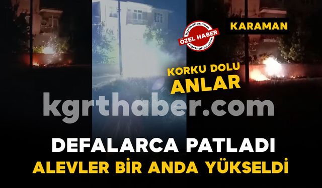 Kopan elektrik teli otları tutuşturdu: Patlama sesleri paniğe neden oldu