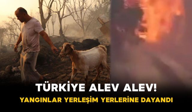 Türkiye Alev Alev! Yangınlar Yerleşim Yerlerine Dayandı