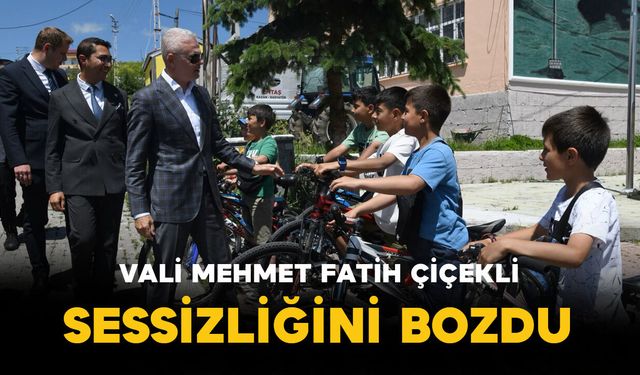 Vali Mehmet Fatih Çiçekli Karar Sonrası Ne Dedi?