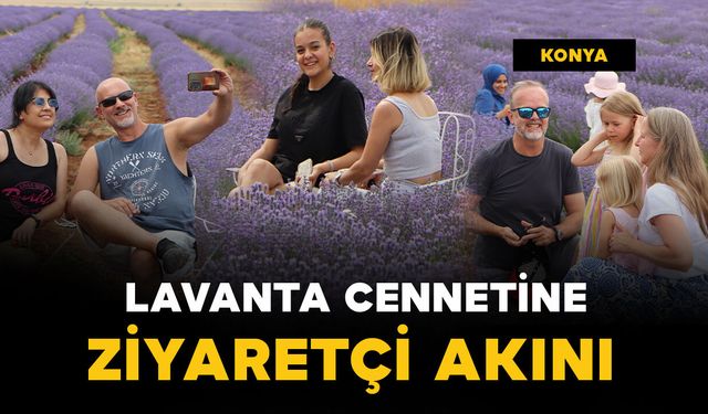 Yoldan geçenler mor lavanta tarlasını görünce durmadan edemiyor