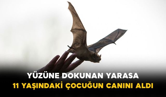 Yüzüne dokunan yarasa 11 yaşındaki çocuğun canını aldı