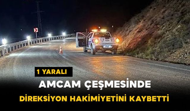 Amcam Çeşmesi'nde Sürücü Direksiyon Hakimiyetini Kaybetti