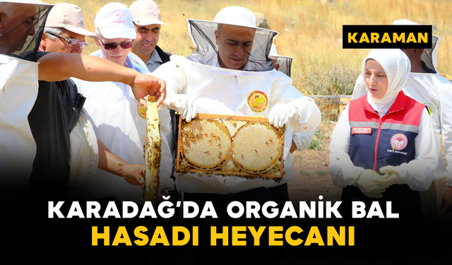 Karadağ’da Organik Bal Hasadı Heyecanı