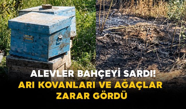 Karaman’da Alevler Bahçeyi Sardı! Arı Kovanları ve Ağaçlar Zarar Gördü
