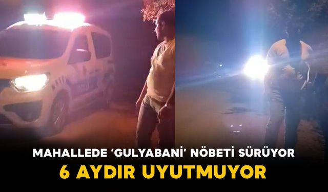 Mahallede ‘Gulyabani’ Nöbeti Sürüyor: 6 Aydır Mahalleliyi Uyutmuyor