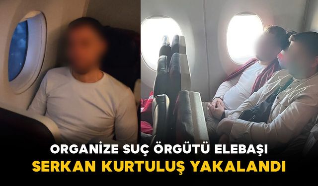 Organize Suç Örgütü Elebaşı Serkan Kurtuluş Yakalandı